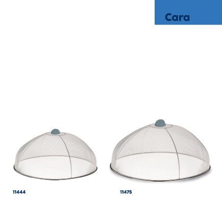 Cara cover