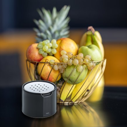 Fruit fly trap white