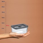 Food conservation Aurelia