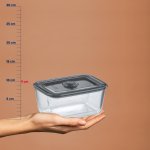 Food conservation Aurelia