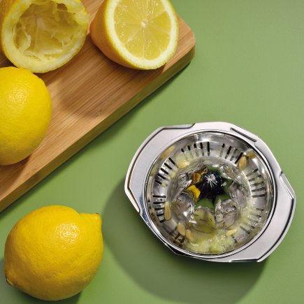 Zitronenpresse Vision