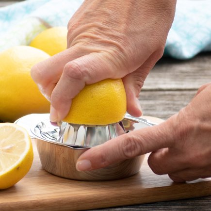 Zitronenpresse Vision
