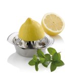 Zitronenpresse Vision