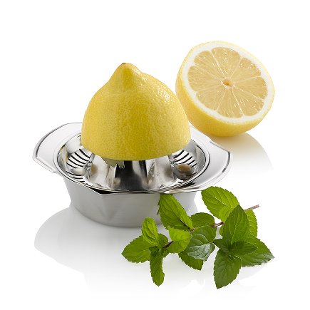 Lemon squeezer Vision