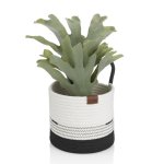 Basket Hedda